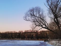 -长春市南湖公园