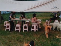 -趣多多宠物公园·宠物训犬学校·宠物寄养