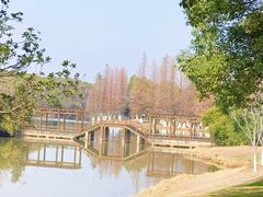 -艾溪湖湿地公园