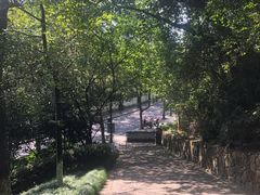 -杭州半山国家森林公园