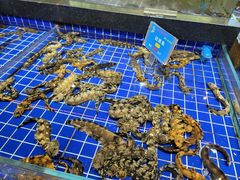 -宝轩渔府·老字号海鲜·正宗津菜(水上店)