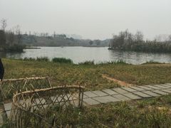 -白鹭湾湿地公园