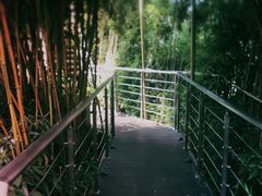 -三利音·浦之舟(滨江大道店)