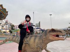 -如皋市龙游湖欢乐世界