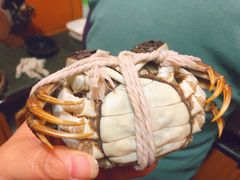 -黄记大闸蟹专卖店·活蟹·醉蟹