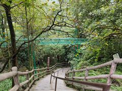 -九皇山景区