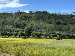 -福建土楼（华安）旅游区•大地土楼群
