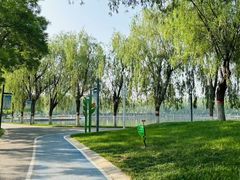 -五环公园