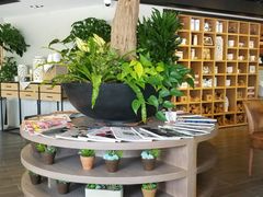 -Roots Lodge Café(仁爱旗舰店)