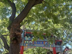 -北京国子监胡同