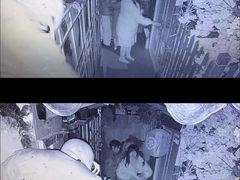 -荒岛实景沉浸密室(江汉路1店)