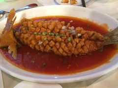 汇泉王朝大饭店青岛菜馆-汇泉王朝大饭店-旋转餐厅(南海路店)