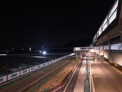 -新湖烧鸡(光明店)