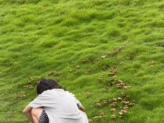 -梁子湖东篱老屋生态庄园