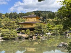 -豆政(金閣寺境内売店)