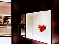 -大头椰·海南椰子鸡火锅(思明万象城店)