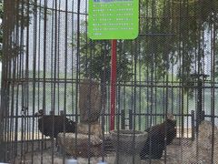 -长白岛森林公园