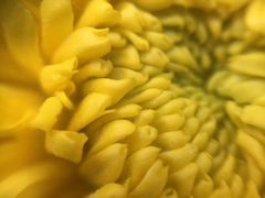 -南山植物园