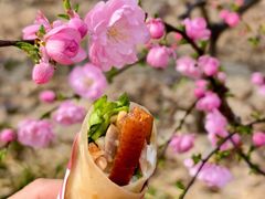 -大鸭梨烤鸭(望京店)