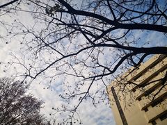 -山东大学(千佛山校区)