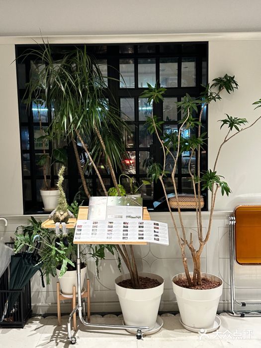 一尺花园(安和花园店)图片