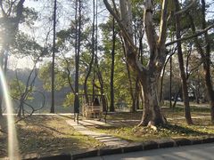 -东湖落雁景区
