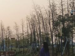 -光明小镇欢乐田园