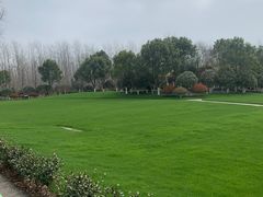 -合肥滨湖国家森林公园