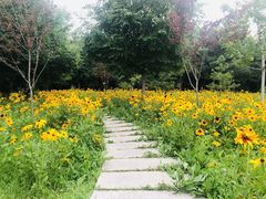 -长春公园(普阳街道)