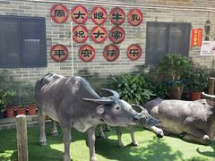 -周大娘牛乳(旧寨古村总店)