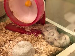 -龙猫仔乐园(惠福东路店)