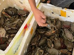 -瑞丽活螃蟹(芒市店)