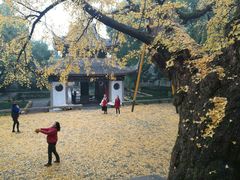 -无锡惠山寺