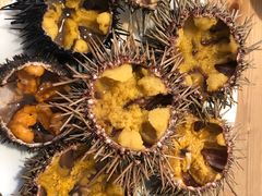 -海胆小馆(东北水饺·春柳店)