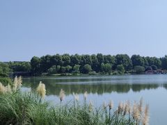 -宜兴龙背山森林公园
