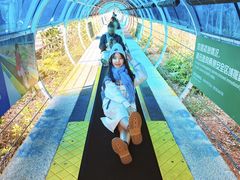 -盈香心动乐园