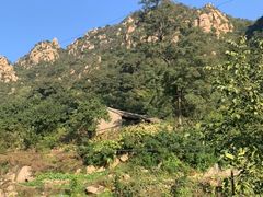 -大岭沟猕猴桃谷风景区