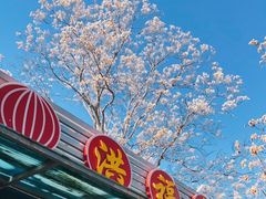 门面-洪福亮酒家(南草厂街店)