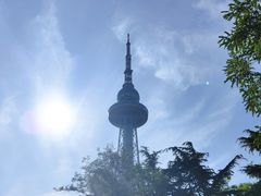 -青岛电视塔