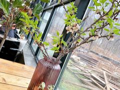 -北马山庄植趣咖啡