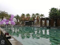 -鹭江潮餐厅•福建菜(鹭江佲家酒店)