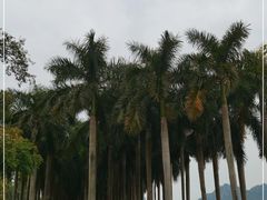 -南宁花花大世界景区