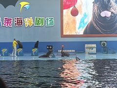 -蓬莱欧乐堡海洋极地世界