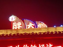 -胖大姐黄辣丁鱼庄(新津店)