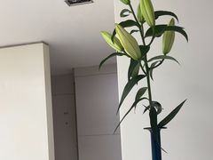 -卡罗酒店(东门晒布地铁站店)