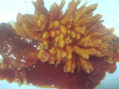 -楚灶王(徐东店)