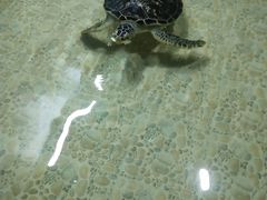 -常州海昌海洋探索馆