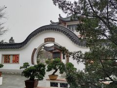 -广东花都湖国家湿地公园
