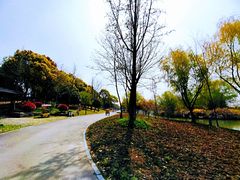 -梁鸿国家湿地公园