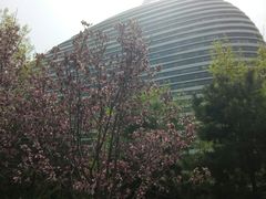 -新荟城(望京店)